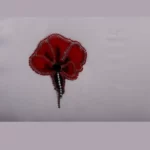 اکسسوری لباس کد شماره 3